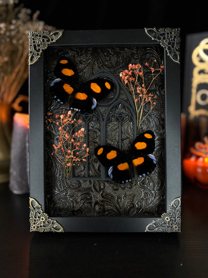Catonephele Numillia Butterfly Shrine | Gothic Window Frame with Florals (18x13cm)