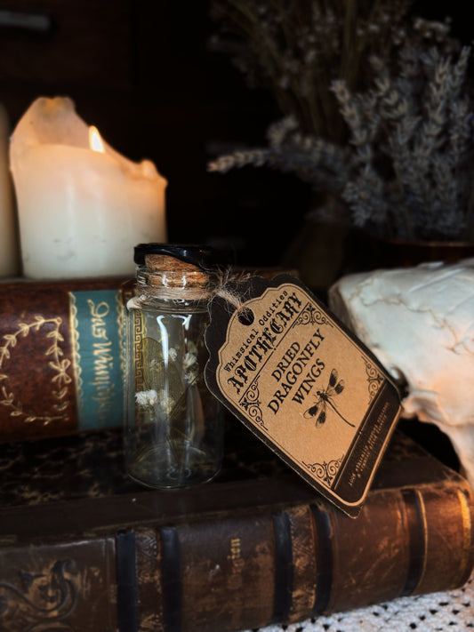 Dragonfly wings - Curio glass vial