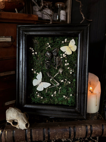 ETERNITY - Appias albina/ Catopsilia pomona(18X13cm)