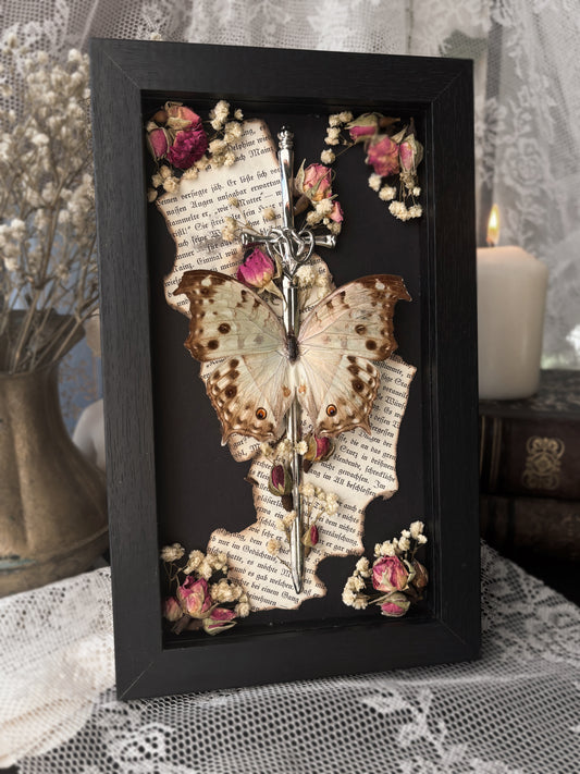 Forbidden Letter – Salamis parhassus (22x12cm)