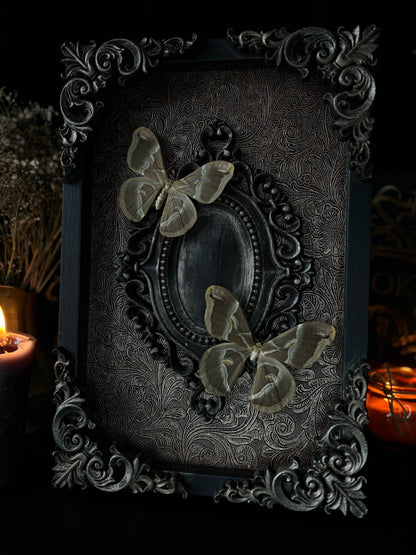 Celestial Moths Shadow Box | Gothic Frame with Silkmoths (30x20cm)