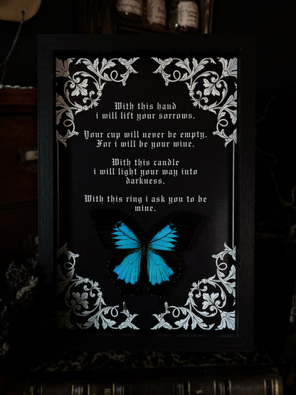 „Corpse bride" inspired - Papilio ulysses / the mountain swallowtail (30x25cm)