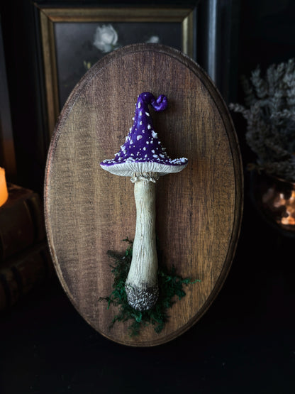 Witch’s Cap - Polymer Clay Mushroom (21,5x14cm)