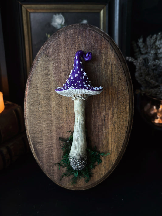 Witch’s Cap - Polymer Clay Mushroom (21,5x14cm)