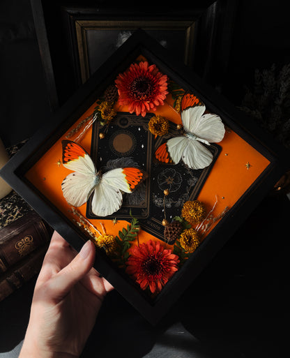 Tarot Magic – Hebomoia glaucippe – Vertical Frame (20x20cm)