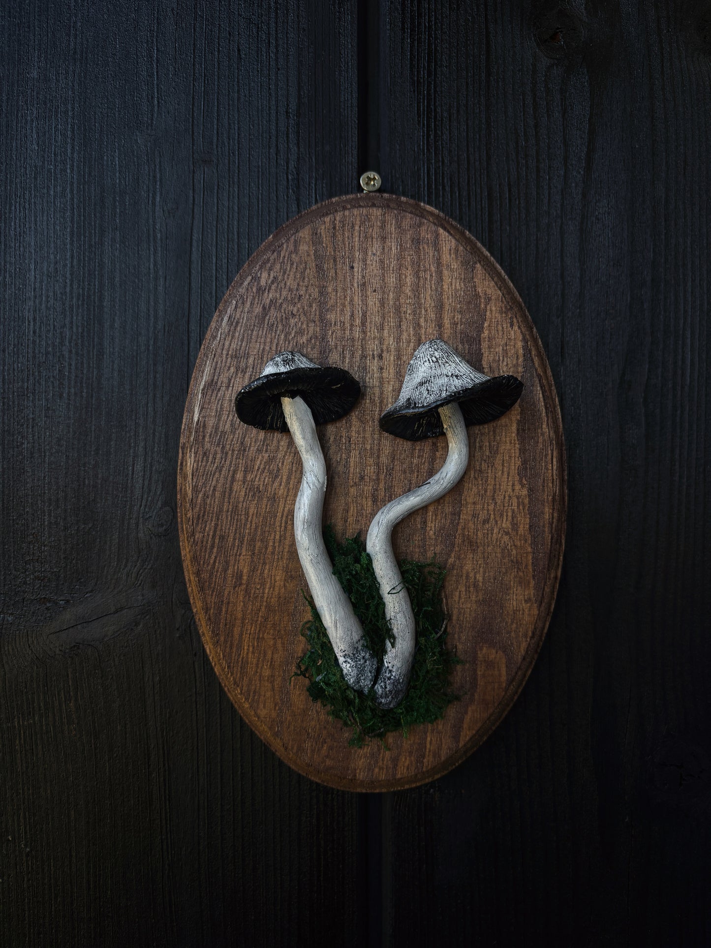 Shaggy Ink Cap - Polymer Clay Mushroom (21,5x14cm)