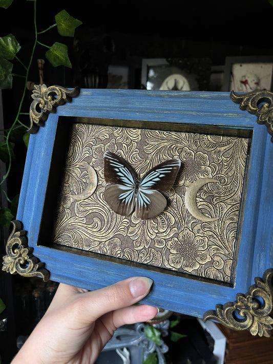 “Celestial Wings” – Framed Butterfly on Baroque Moonlit Tapestry (23x18cm)