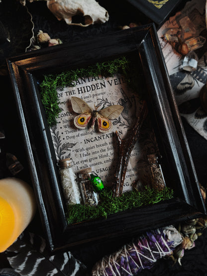 "Incantation of the Hidden Veil" – Automeris cecrops (23x18cm)