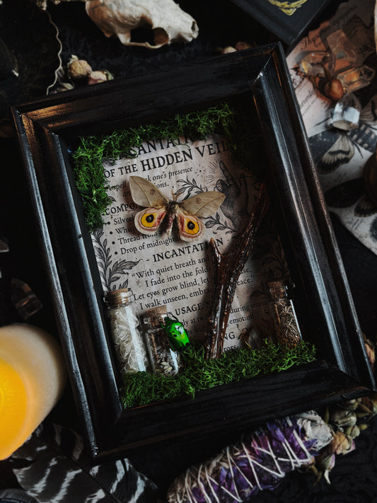 "Incantation of the Hidden Veil" – Automeris cecrops (23x18cm)