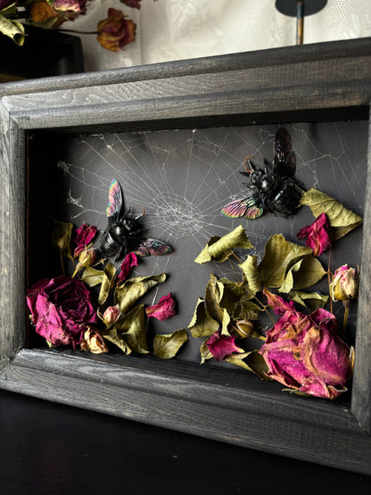 “Keeper of the Web” – Xylocopa latipes (23x18 cm)