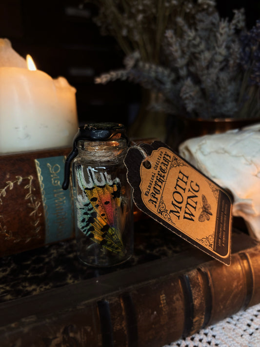 Whimsical wings - mothwing glass jar