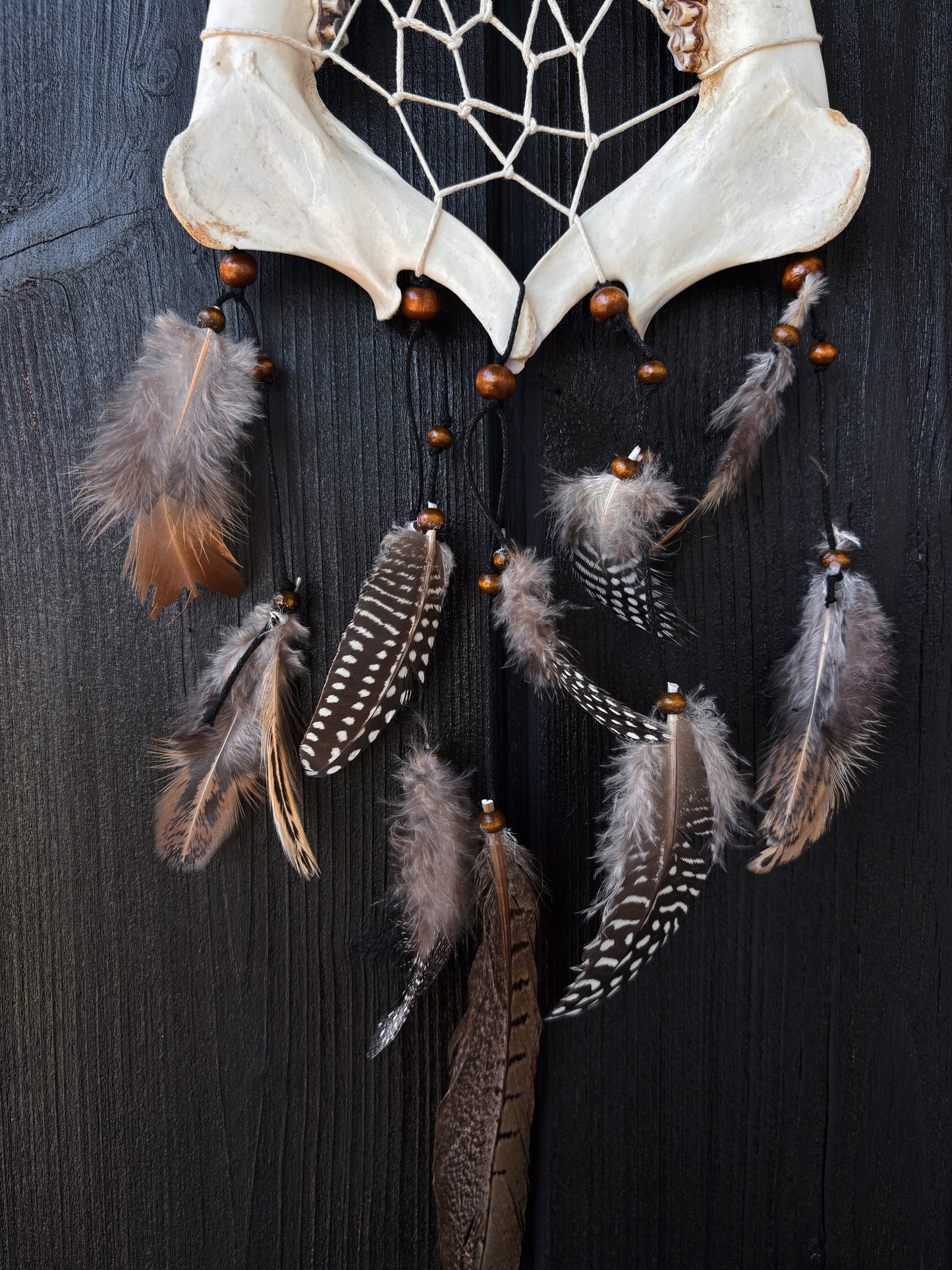 Forest Dreamer - Deer Jaw Dreamcatcher small