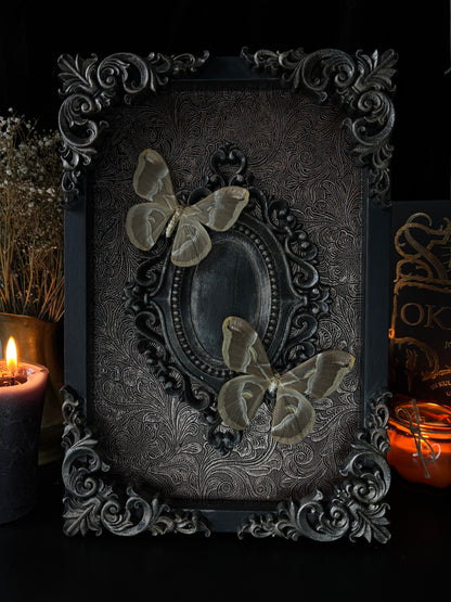 Celestial Moths Shadow Box | Gothic Frame with Silkmoths (30x20cm)