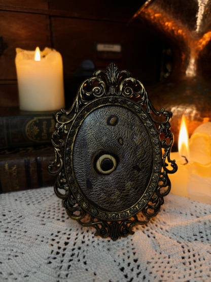 Brass vintage Frame - Caligo memnon (13x10cm)