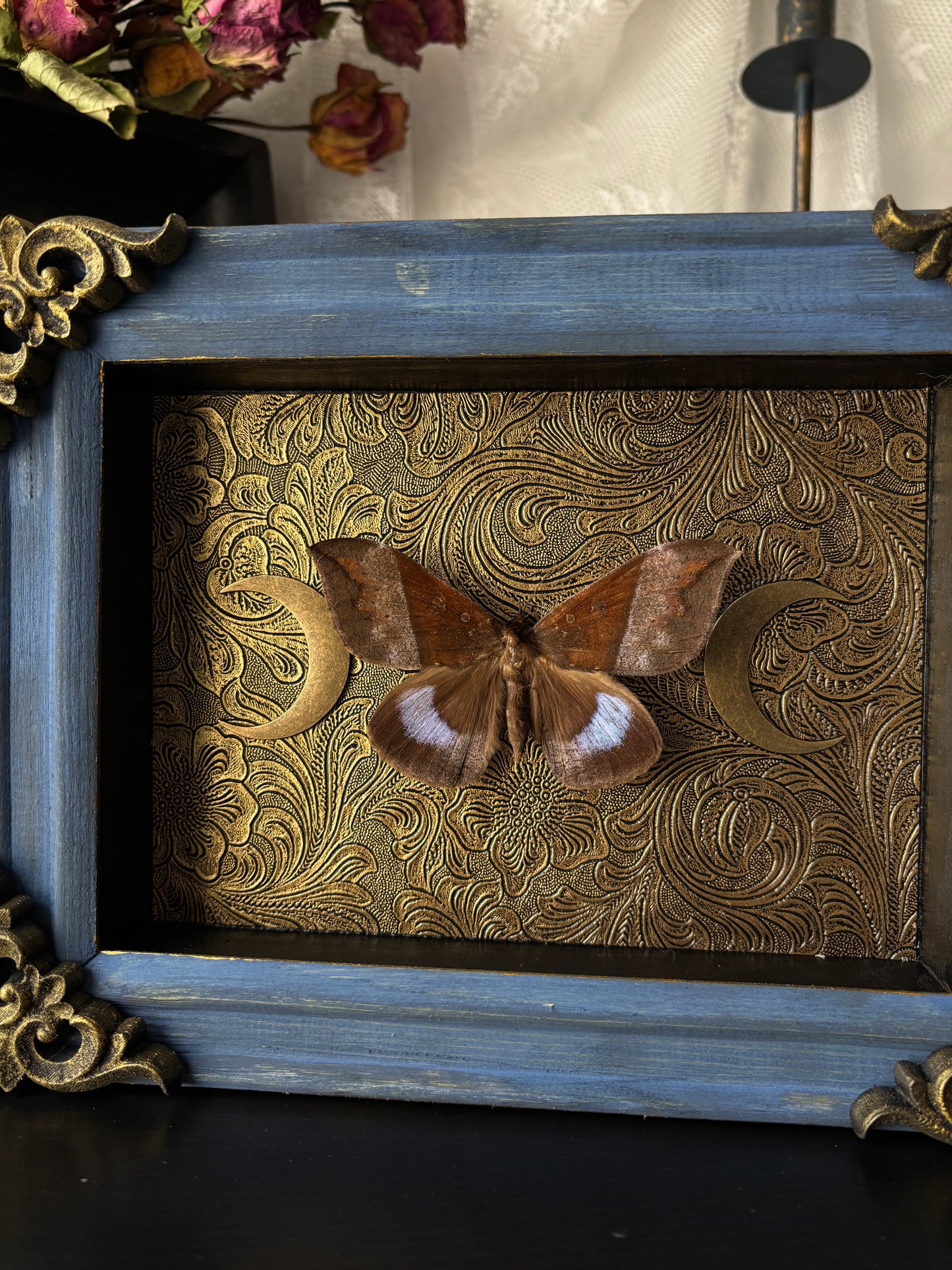 “Celestial Wings” – Framed Moth on Baroque Moonlit Tapestry (23x18cm)