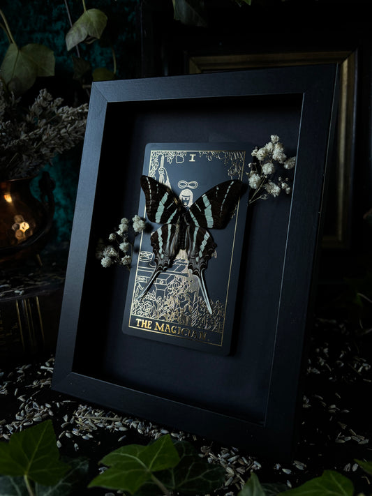 The Magician Frame  (18x13cm)