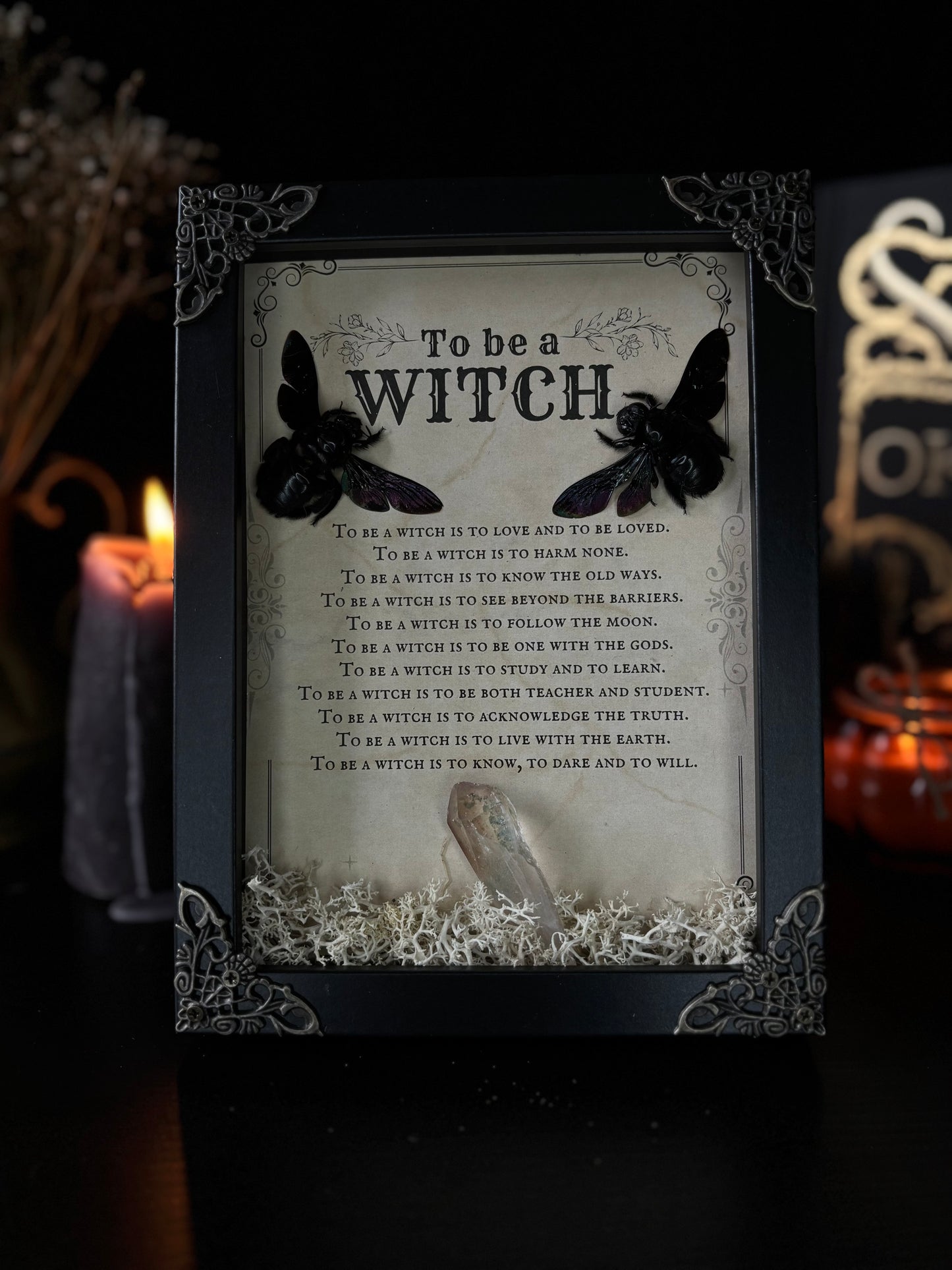 Witch’s Creed Bee Frame | Xylocopa latipes with Crystal & Moss (18x13cm)