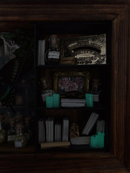 Verdant Study – Miniature Witch’s Cabinet – Papilio maackii (23x18cm)