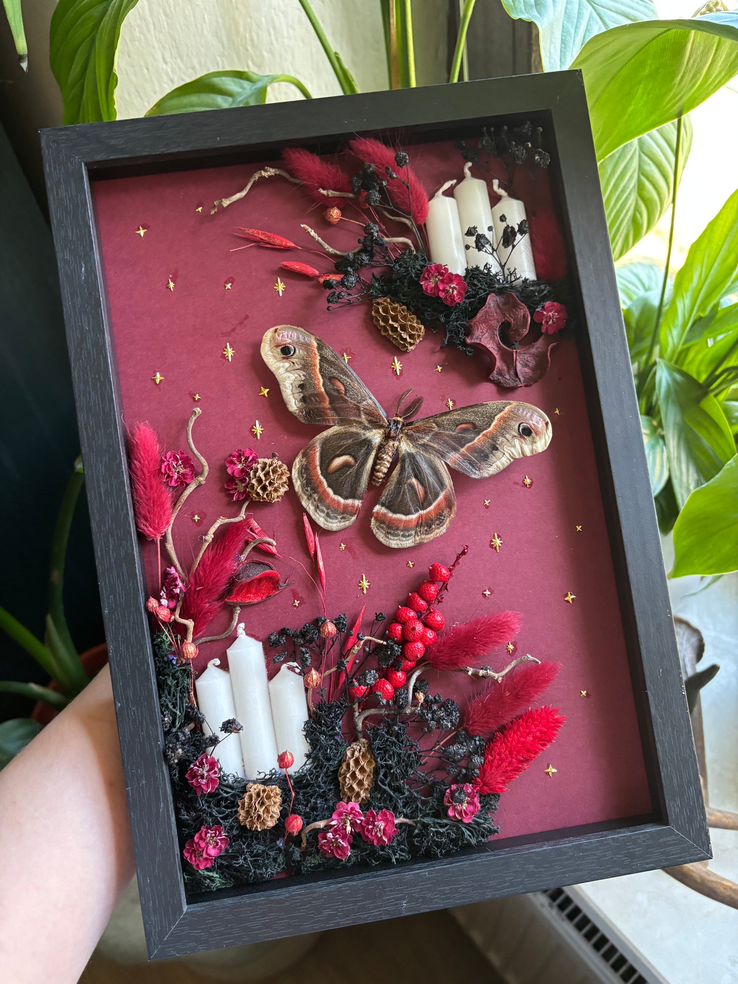 „Crimson Forest“ - Cecropia moth (30x20cm) (Kopie)