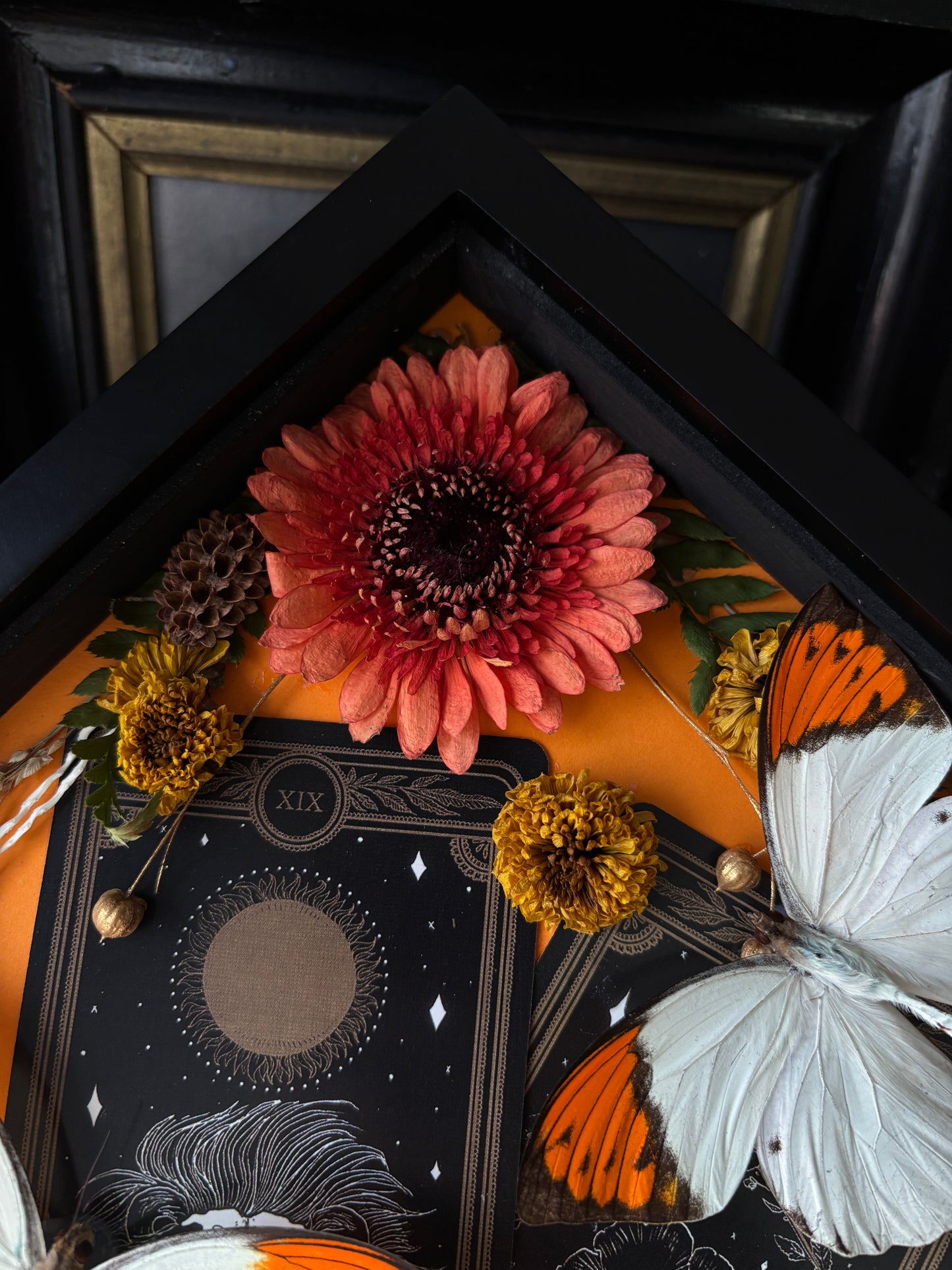 Tarot Magic – Hebomoia glaucippe – Vertical Frame (20x20cm)