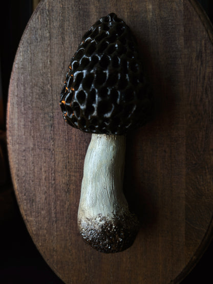 Morel Mushroom - Polymer Clay Mushroom (21,5x14cm)