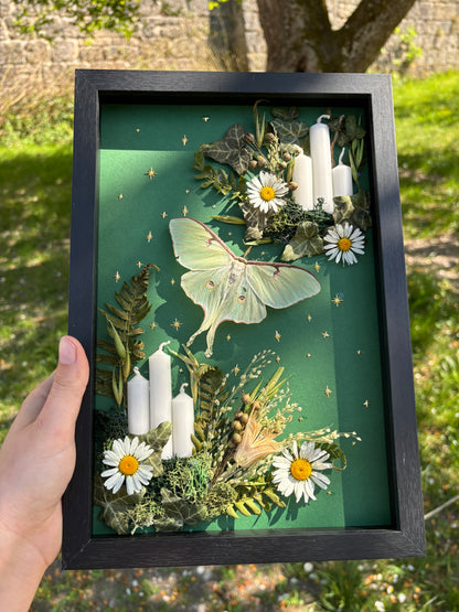 „Spring Grass“ - Luna moth (30x20cm)