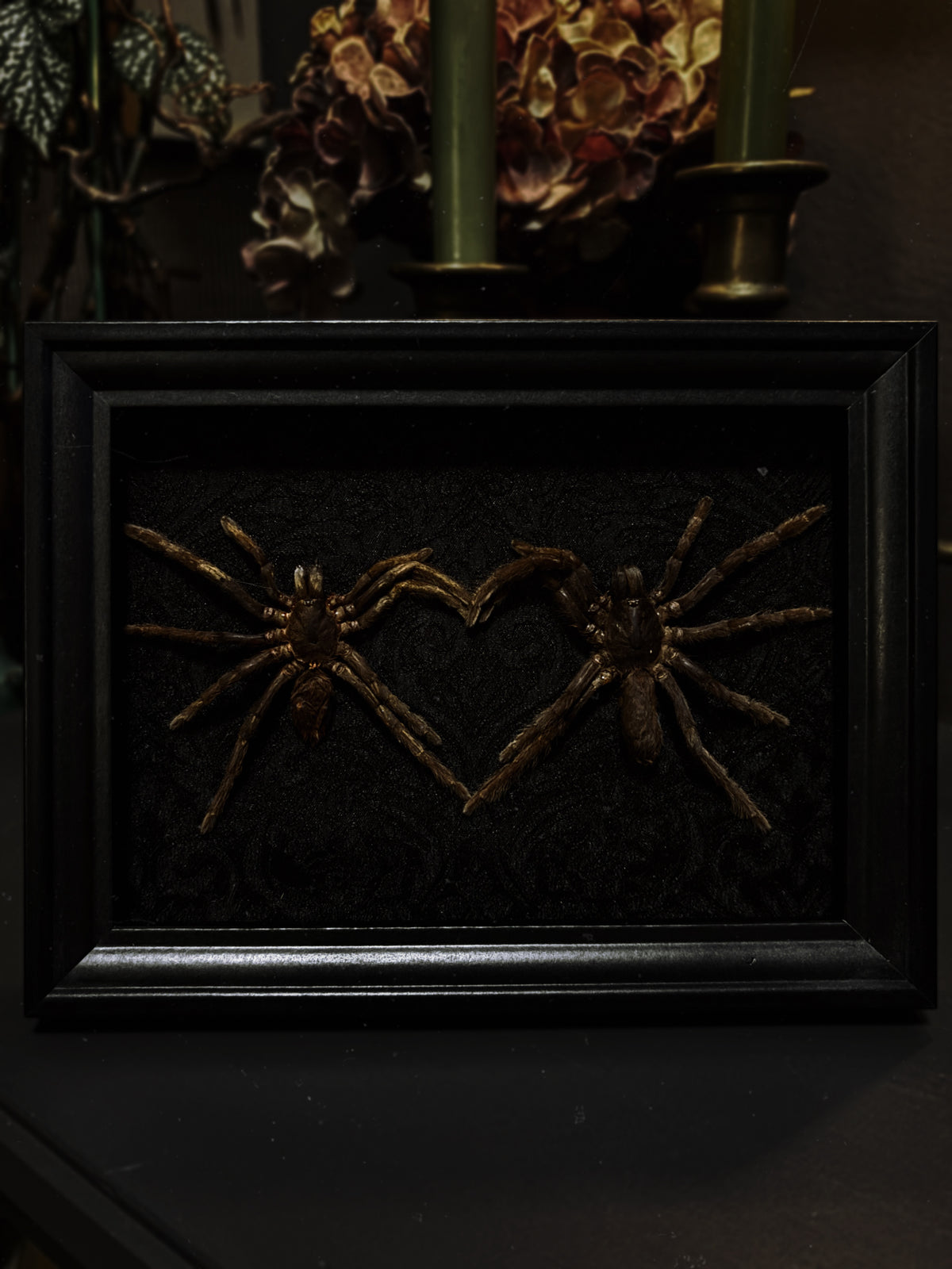 🕷️ Tarantula Heart Frame (18x13cm)