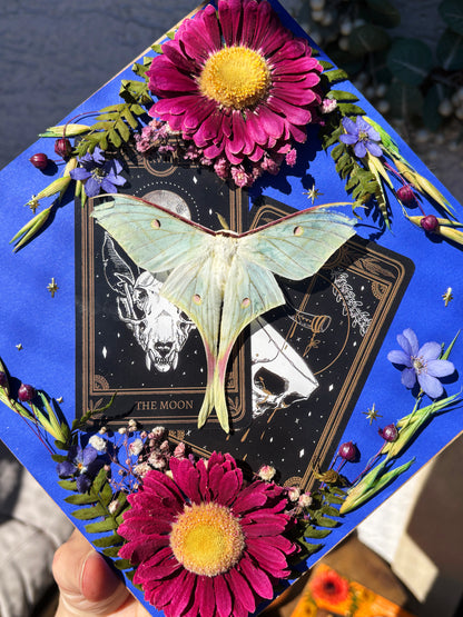 Tarot Magic – Actias selene – Vertical Frame (20x20cm)