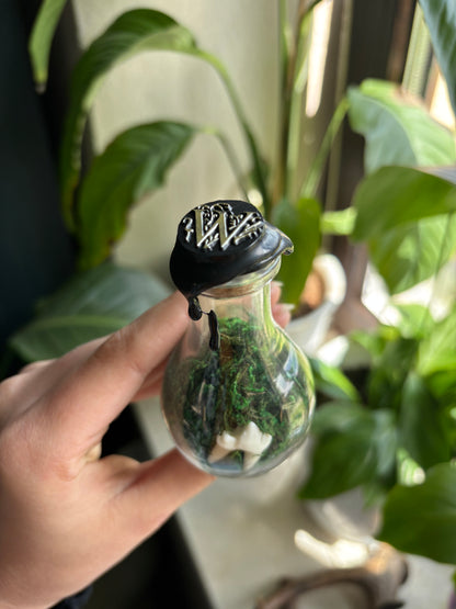 Fox Tooth Jar 🦷
