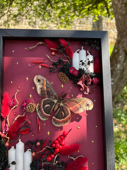 „Crimson Forest“ - Cecropia moth (30x20cm) (Kopie)