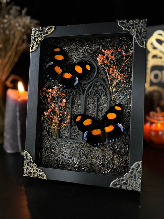 Catonephele Numillia Butterfly Shrine | Gothic Window Frame with Florals (18x13cm)