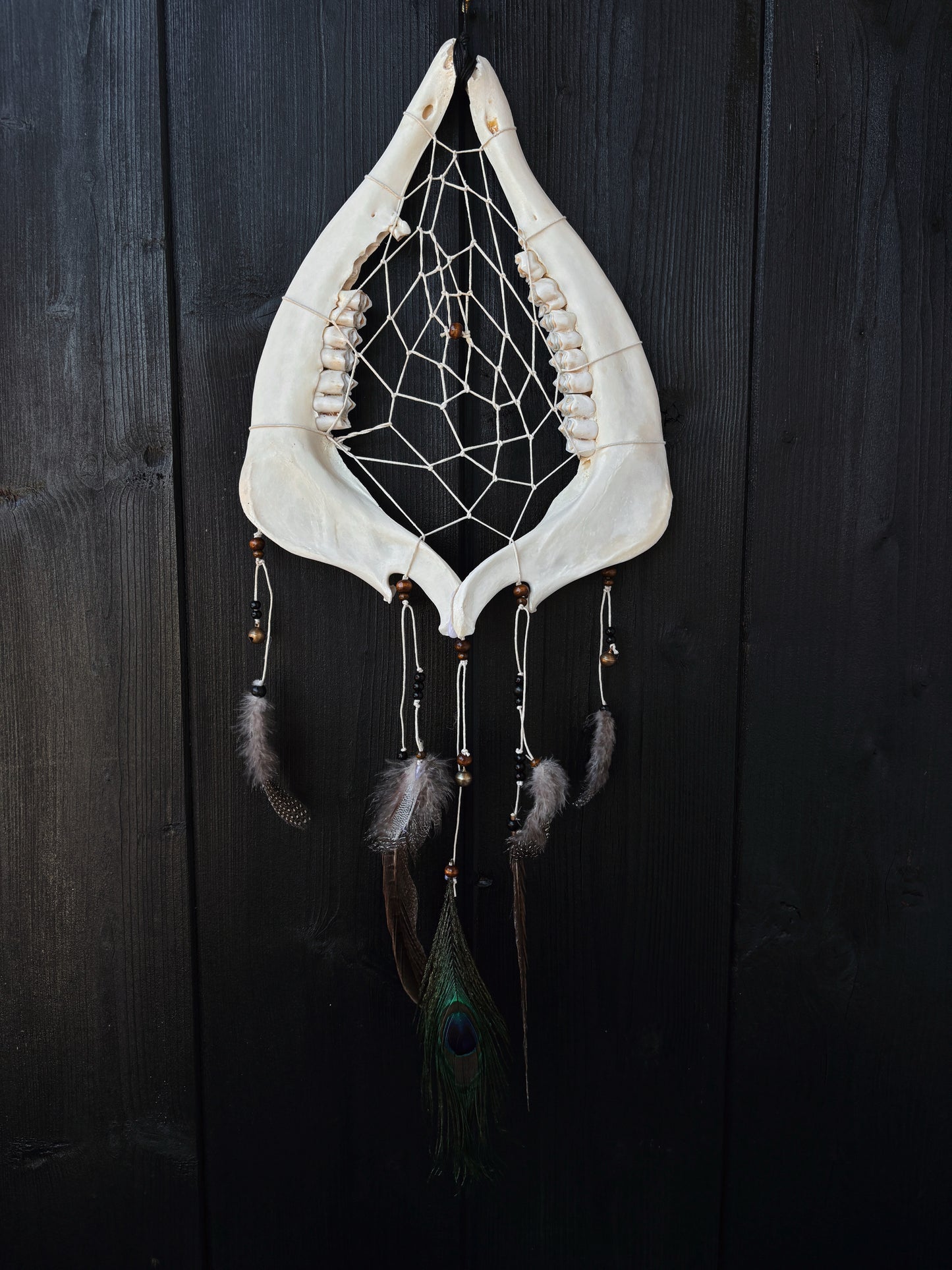 Forest Dreamer - Deer Jaw Dreamcatcher big