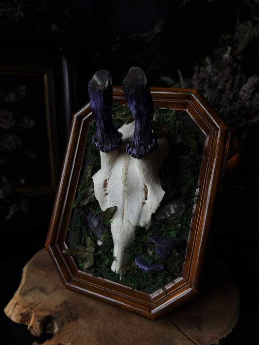 Amethyst Antler Skull Frame – Gods of the Forest V (Vintageframe, 20x15cm)