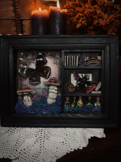 🍄 Forbidden Forest – Miniature Witch’s Cabinet (18x13cm)