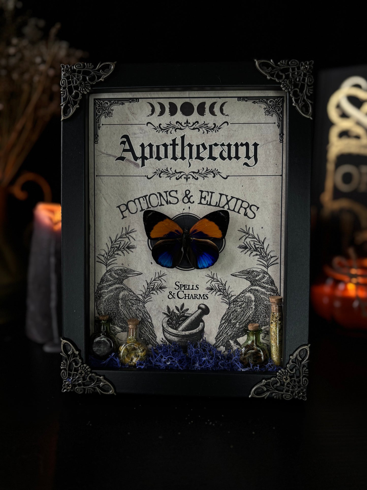 Asterope Davisii Apothecary Frame | Potion Vial Curio