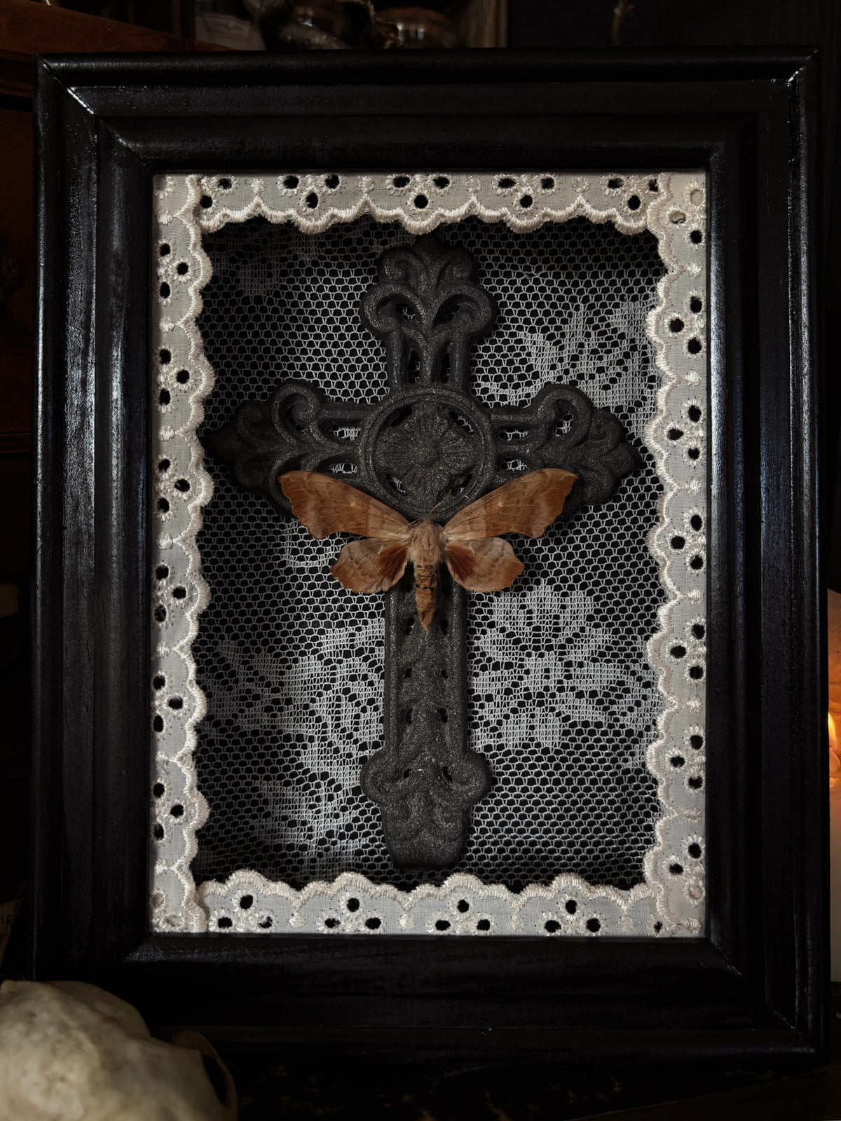 The mourning cross | Laothoe populi (18x13cm)