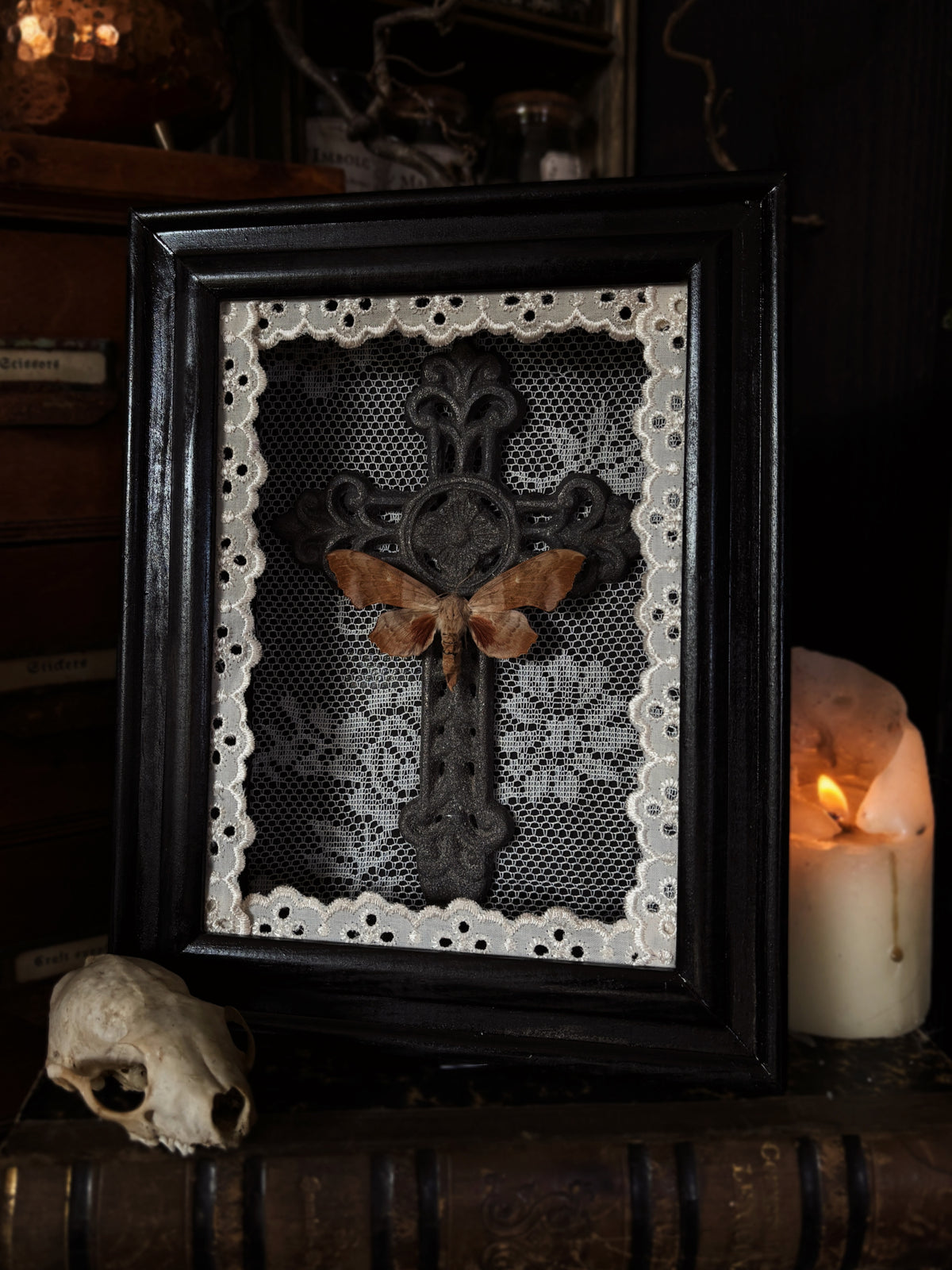 The mourning cross | Laothoe populi (18x13cm)