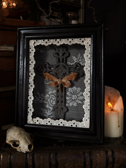 The mourning cross | Laothoe populi (18x13cm)