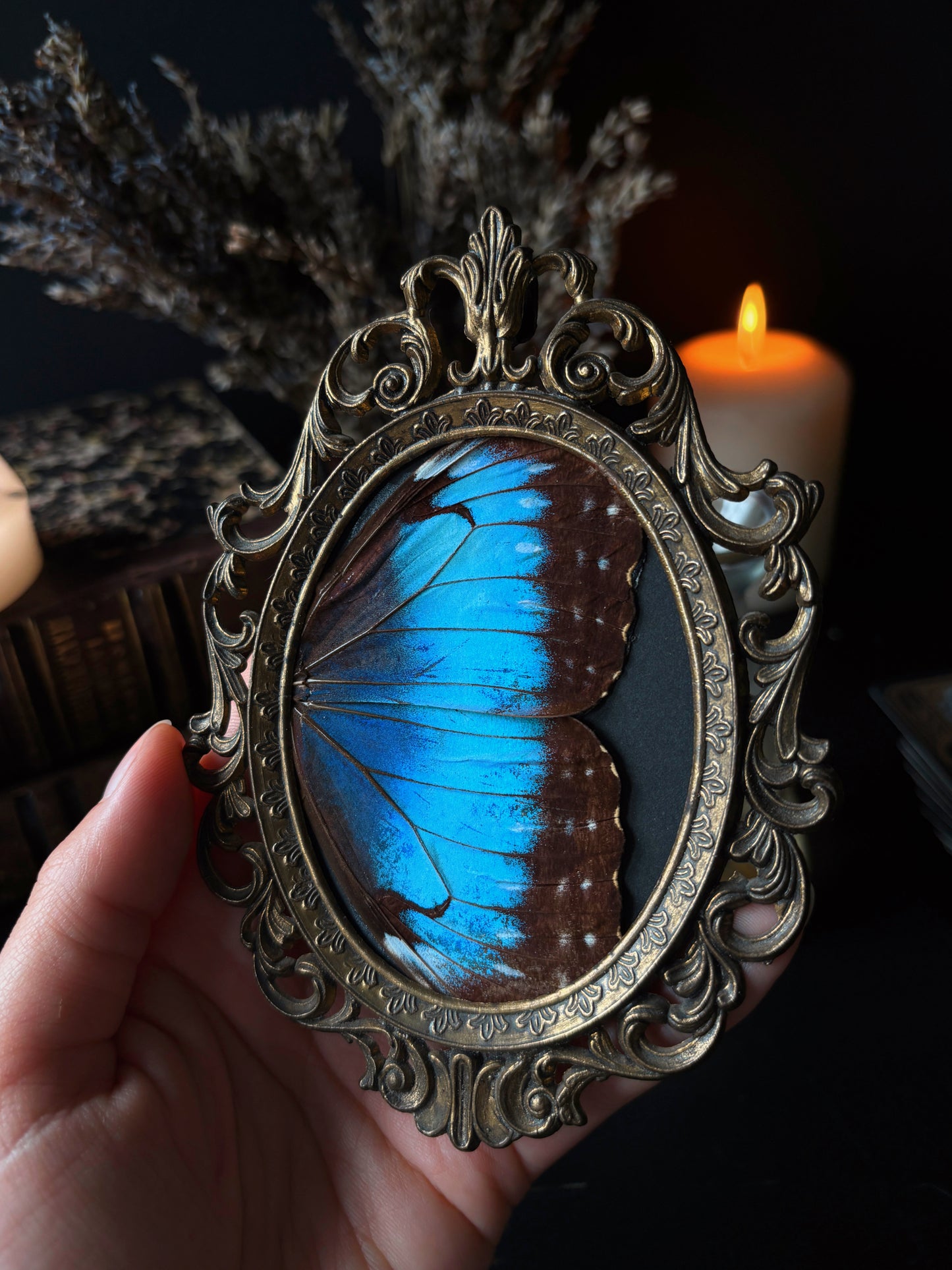 Morpho Wings 🦋 (Vintage brass frame) (13x10cm)