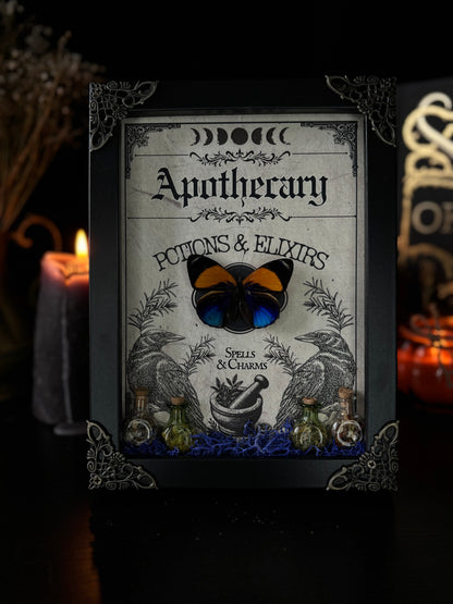 Asterope Davisii Apothecary Frame | Potion Vial Curio
