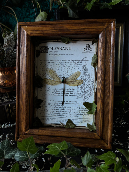 Wolfsbane Frame – "Dragonfly" (24x18cm)