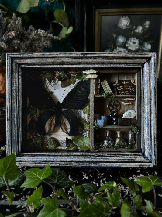 „Witches lair“ Apothecary cabinet