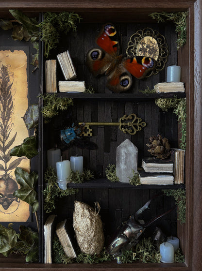 Forbidden forest Apothecary cabinet