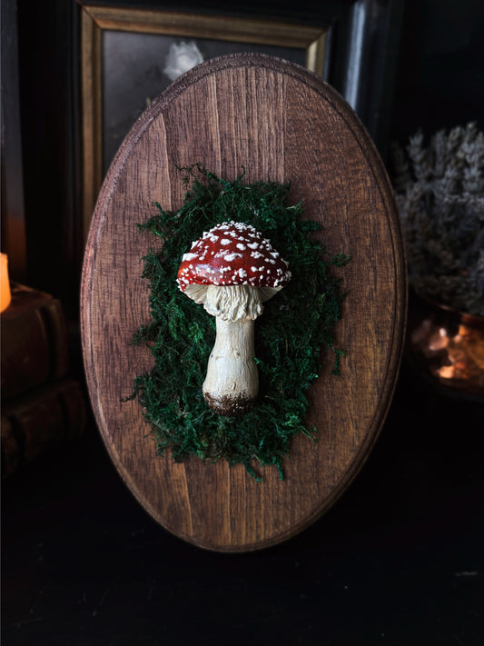 Fly Agaric - Polymer Clay Mushroom (21,5x14cm)