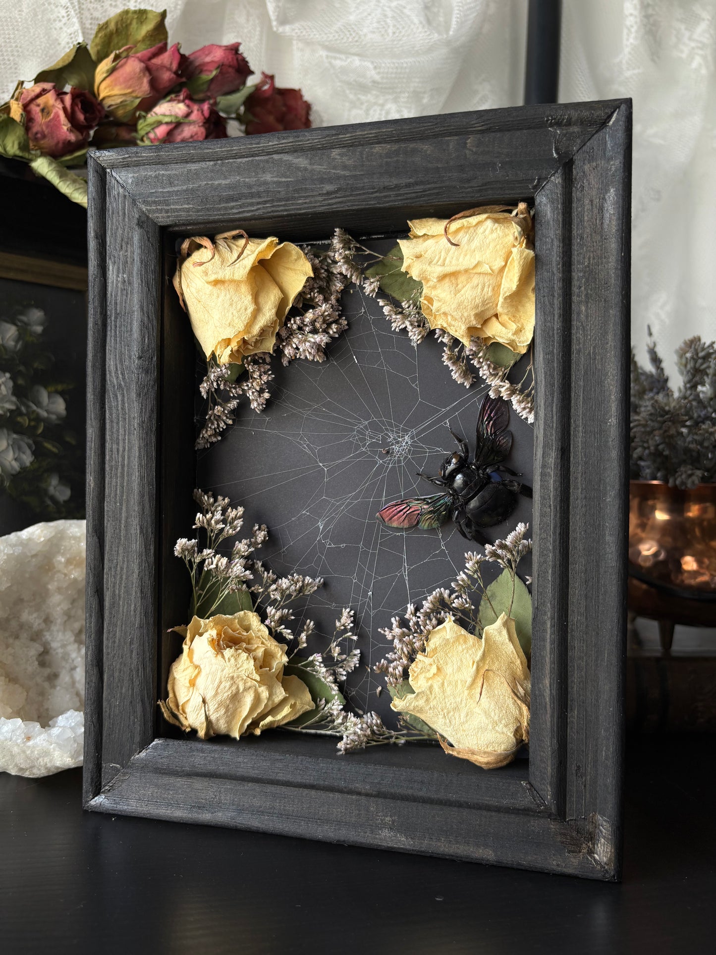 “Widow’s Garden” – Giant Carpenter Bee in Web with White Roses (23x18 cm)