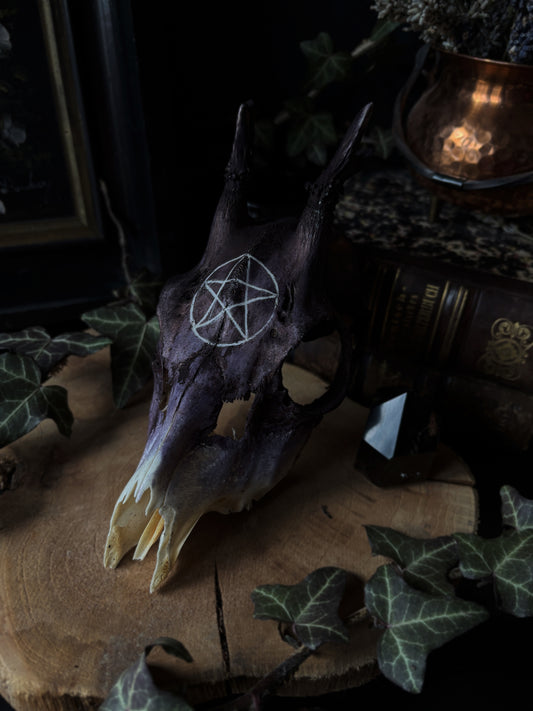 Pentagram Deer Skull | Handcarved & Painted Bone Art