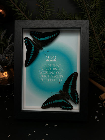 „222“ - Graphium sarpedon