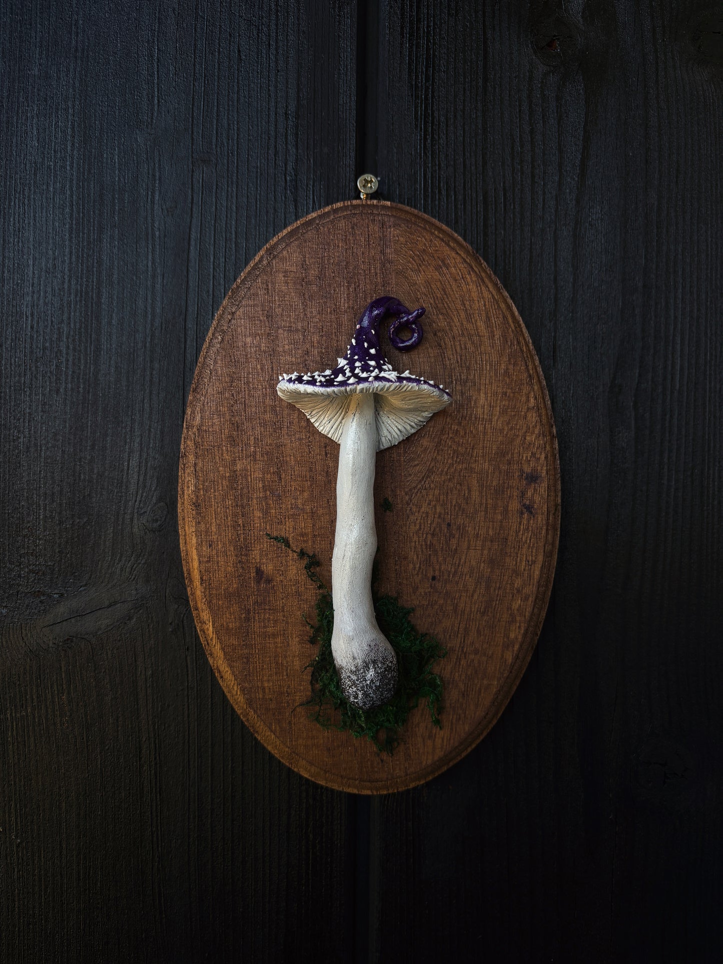 Witch’s Cap - Polymer Clay Mushroom (21,5x14cm)
