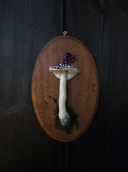Witch’s Cap - Polymer Clay Mushroom (21,5x14cm)