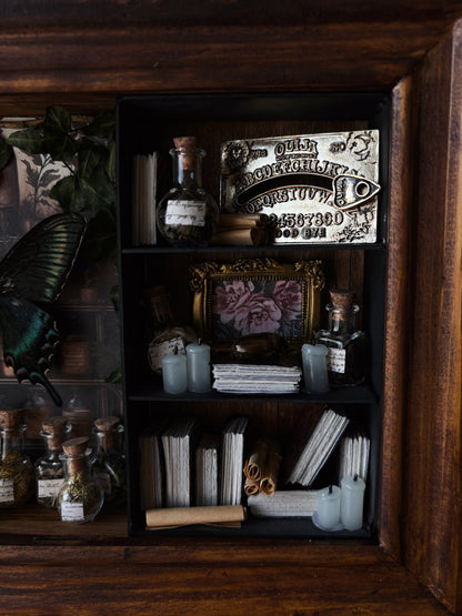 Verdant Study – Miniature Witch’s Cabinet – Papilio maackii (23x18cm)